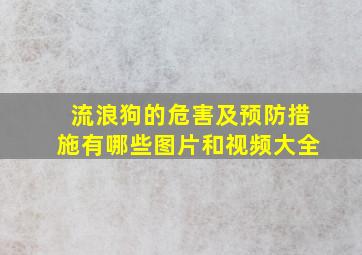 流浪狗的危害及预防措施有哪些图片和视频大全