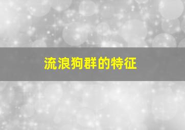 流浪狗群的特征