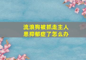 流浪狗被抓走主人患抑郁症了怎么办