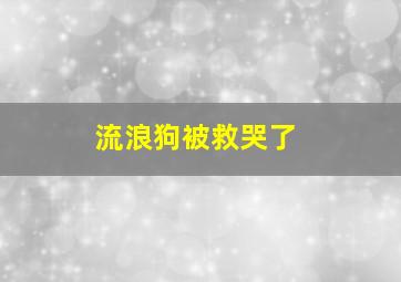 流浪狗被救哭了