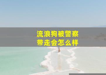 流浪狗被警察带走会怎么样