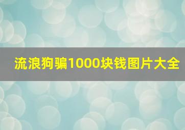 流浪狗骗1000块钱图片大全