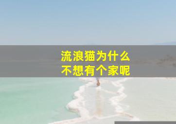 流浪猫为什么不想有个家呢