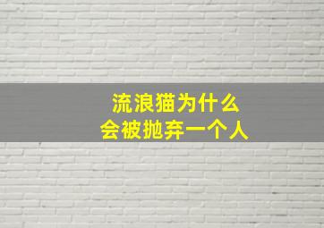 流浪猫为什么会被抛弃一个人