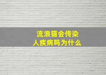 流浪猫会传染人疾病吗为什么