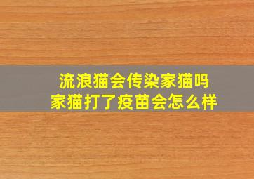 流浪猫会传染家猫吗家猫打了疫苗会怎么样