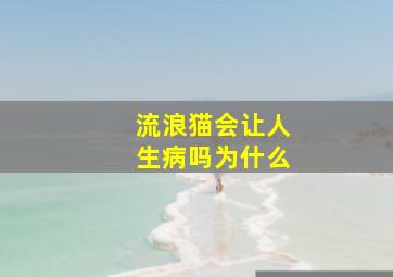 流浪猫会让人生病吗为什么