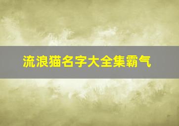 流浪猫名字大全集霸气