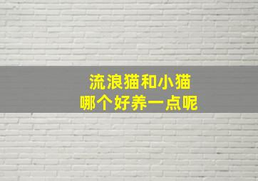 流浪猫和小猫哪个好养一点呢