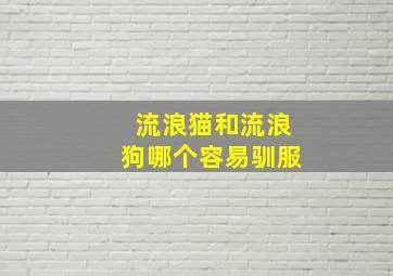 流浪猫和流浪狗哪个容易驯服