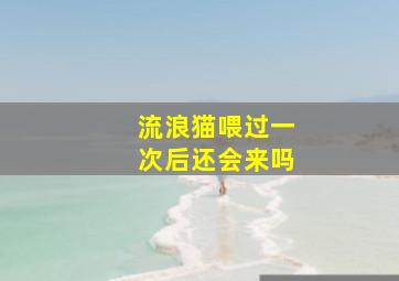 流浪猫喂过一次后还会来吗