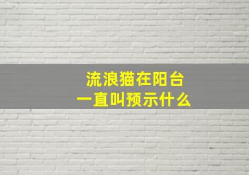 流浪猫在阳台一直叫预示什么