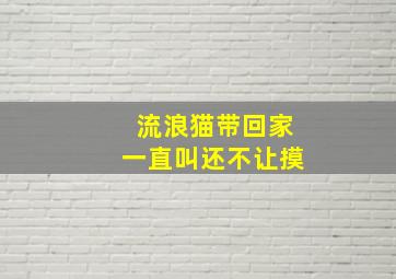 流浪猫带回家一直叫还不让摸