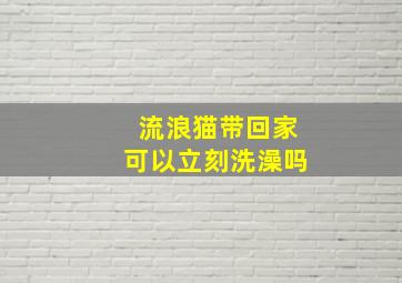 流浪猫带回家可以立刻洗澡吗