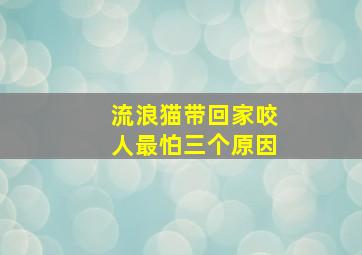 流浪猫带回家咬人最怕三个原因