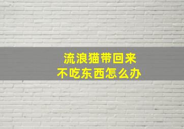 流浪猫带回来不吃东西怎么办