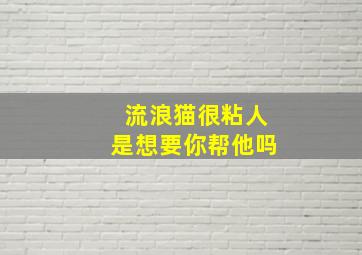 流浪猫很粘人是想要你帮他吗