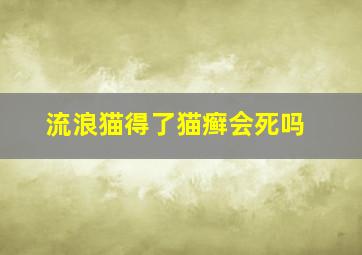 流浪猫得了猫癣会死吗