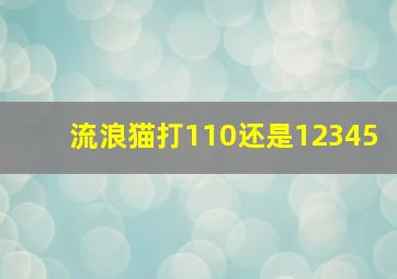 流浪猫打110还是12345