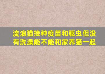 流浪猫接种疫苗和驱虫但没有洗澡能不能和家养猫一起