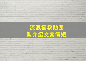 流浪猫救助团队介绍文案简短