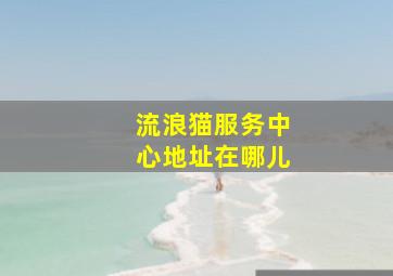 流浪猫服务中心地址在哪儿