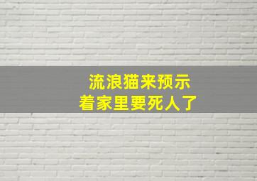 流浪猫来预示着家里要死人了