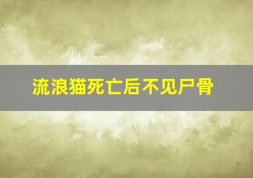 流浪猫死亡后不见尸骨