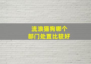 流浪猫狗哪个部门处置比较好