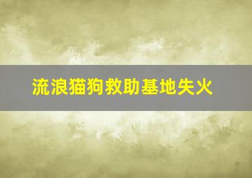 流浪猫狗救助基地失火