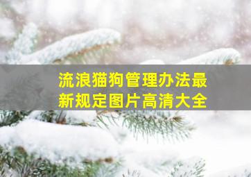 流浪猫狗管理办法最新规定图片高清大全