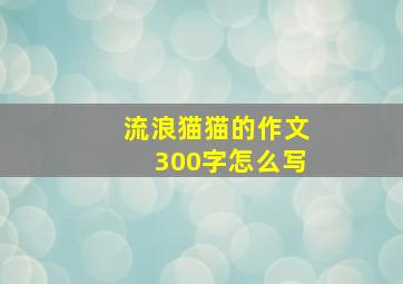 流浪猫猫的作文300字怎么写