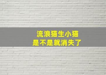 流浪猫生小猫是不是就消失了