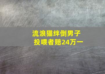 流浪猫绊倒男子投喂者赔24万一