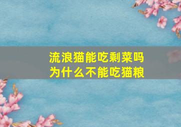 流浪猫能吃剩菜吗为什么不能吃猫粮