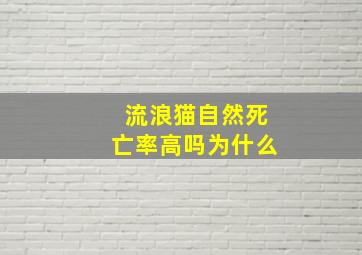 流浪猫自然死亡率高吗为什么