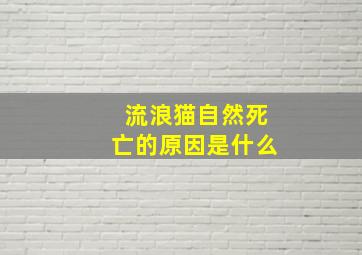 流浪猫自然死亡的原因是什么