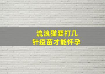 流浪猫要打几针疫苗才能怀孕