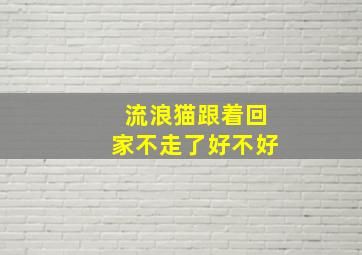 流浪猫跟着回家不走了好不好