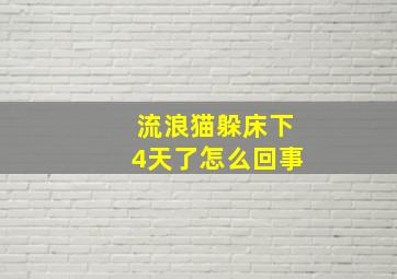 流浪猫躲床下4天了怎么回事