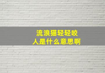 流浪猫轻轻咬人是什么意思啊