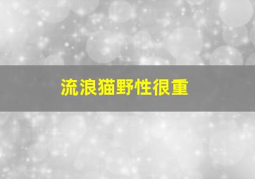 流浪猫野性很重