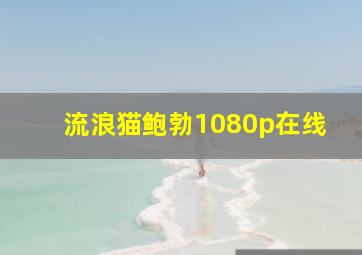 流浪猫鲍勃1080p在线