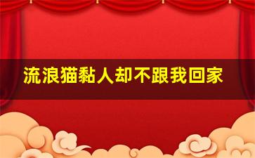 流浪猫黏人却不跟我回家