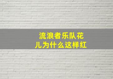 流浪者乐队花儿为什么这样红