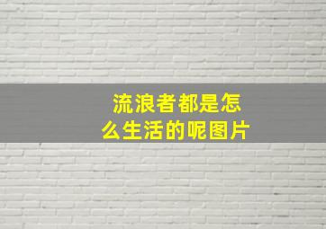 流浪者都是怎么生活的呢图片