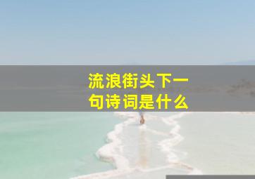 流浪街头下一句诗词是什么