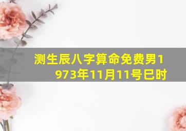 测生辰八字算命免费男1973年11月11号巳时