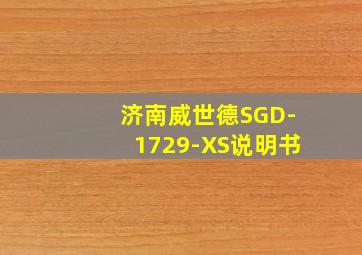 济南威世德SGD-1729-XS说明书