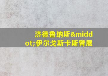 济德鲁纳斯·伊尔戈斯卡斯臂展